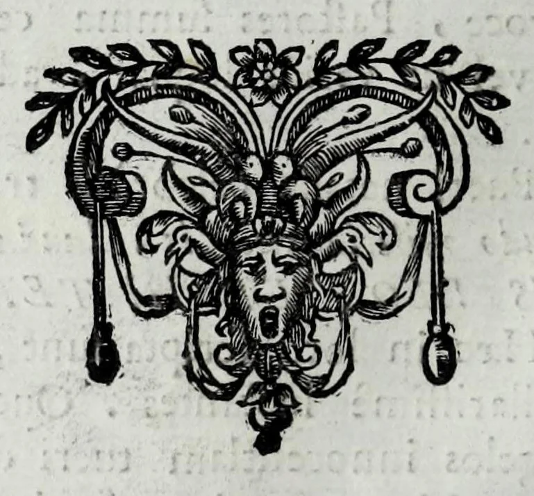 An illustration from Tabellae selectae ac explicatae, 1691, leaf 32