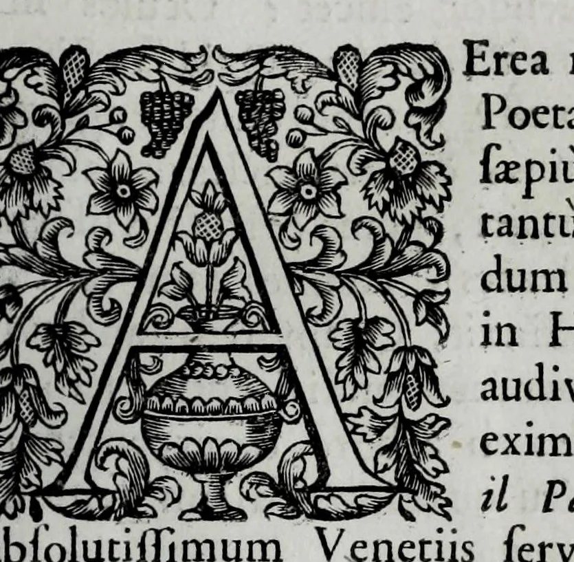 An illustration from Tabellae selectae ac explicatae, 1691, leaf 47