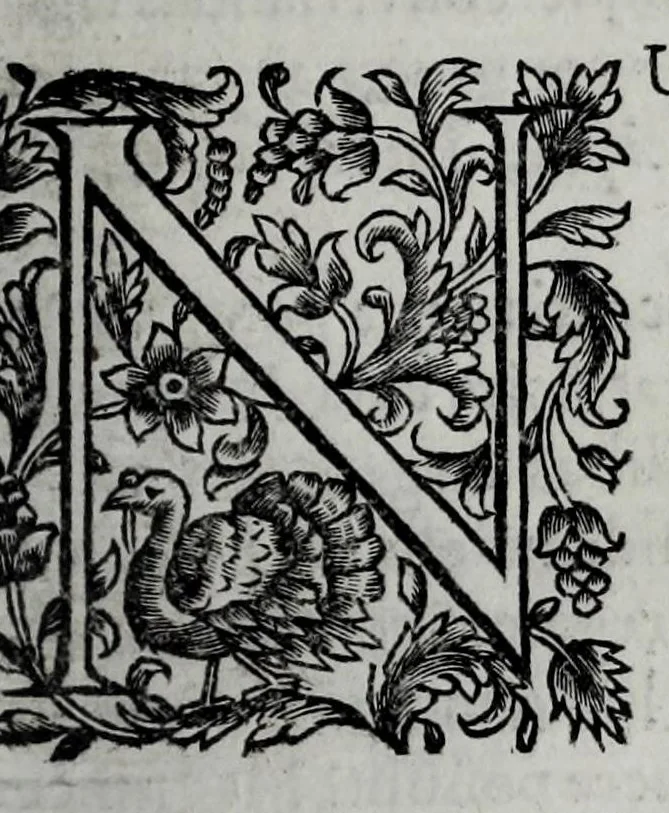 An illustration from Tabellae selectae ac explicatae, 1691, leaf 51