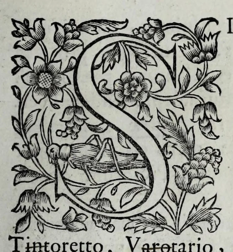 An illustration from Tabellae selectae ac explicatae, 1691, leaf 55