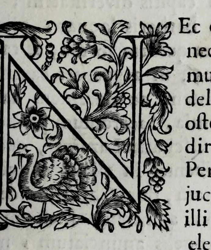 An illustration from Tabellae selectae ac explicatae, 1691, leaf 59
