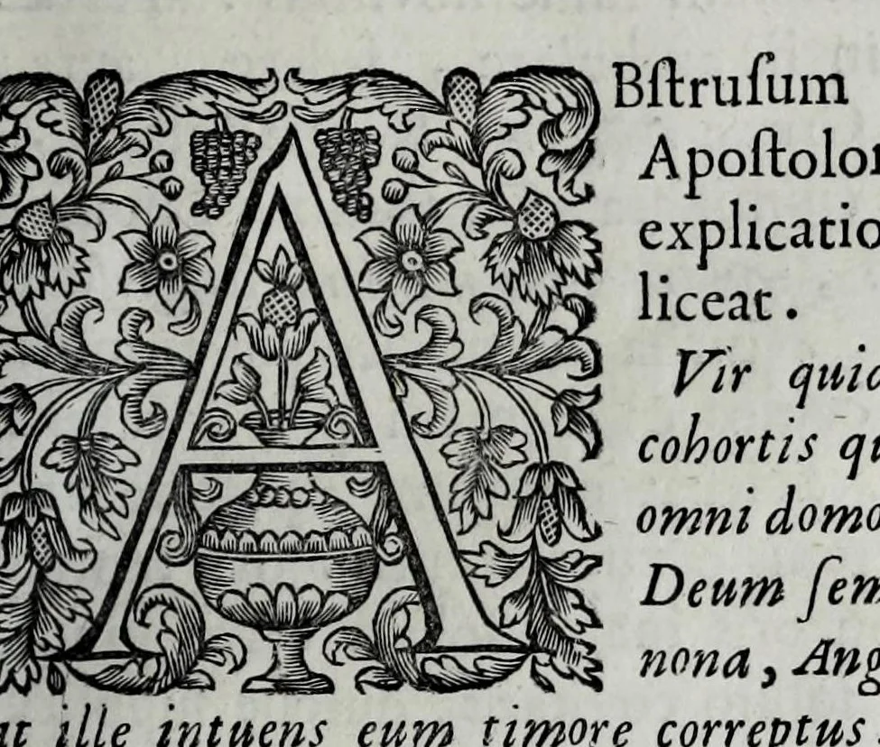 An illustration from Tabellae selectae ac explicatae, 1691, leaf 87