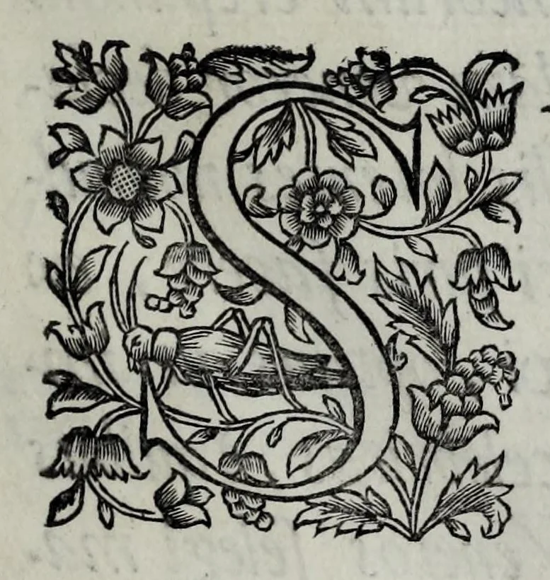 An illustration from Tabellae selectae ac explicatae, 1691, leaf 9