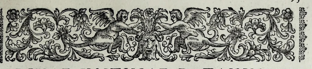 An illustration from Tabellae selectae ac explicatae, 1691, leaf 95