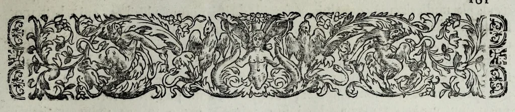 An illustration from Tabellae selectae ac explicatae, 1691, leaf 99