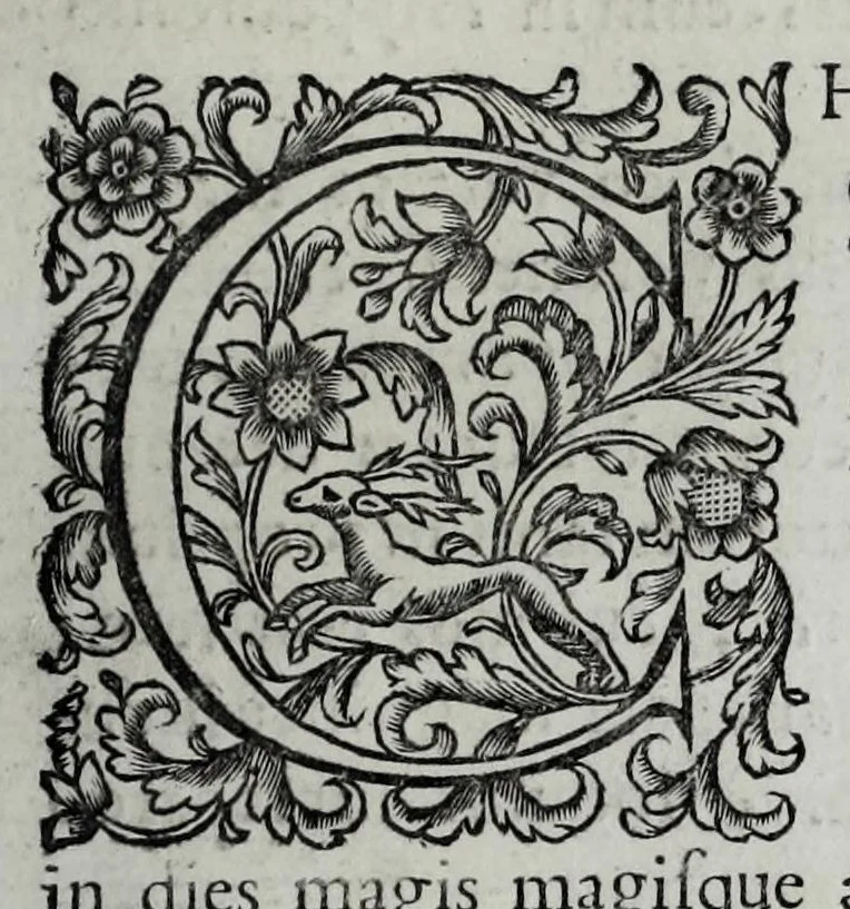An illustration from Tabellae selectae ac explicatae, 1691, leaf 99