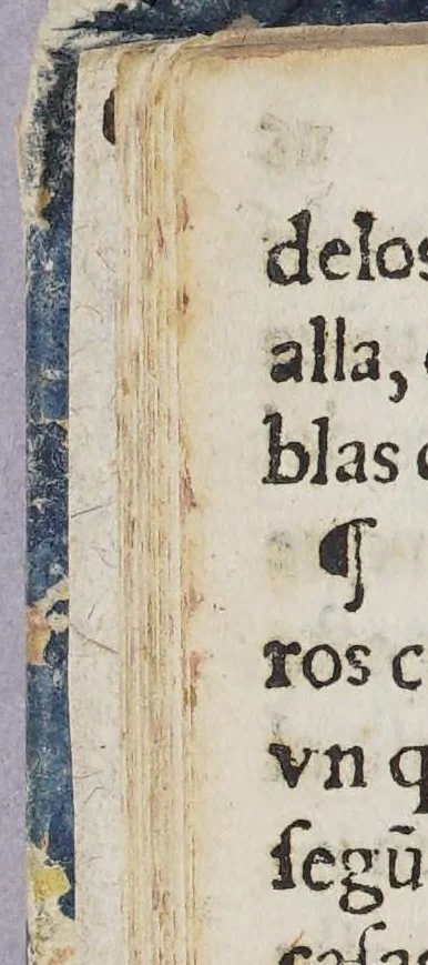An illustration from Tablas de reduciones de monedas, y del valor de todo genero de plata y oro, y del modo de hazer las cue[n]tas del, y delos derechos q[ue] se deue[n] a su Mag. enel quintar la plata, y delos intereses de vno hasta diez por ciento ... : y de otras cosas necessarias y conuenientes para las cuentas del trato y contrato de estos reynos., 1603, leaf 56