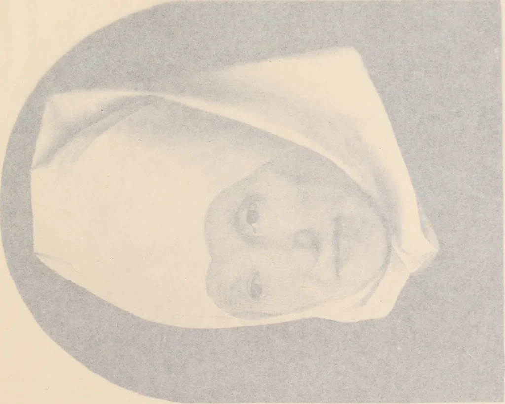 An illustration from Tableaux anciens et modernes, objets d'art et d'ameublement, 1904, leaf 38
