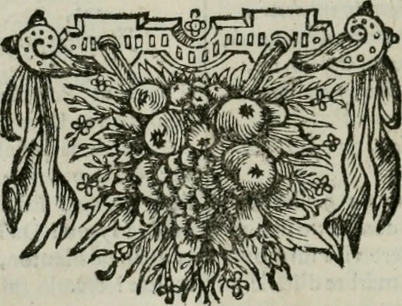 An illustration from Tableaux du temple des muses : tirez du cabinet de feu Mr. Favereau, conseiller du roy en sa Cour des Aydes, & gravez en tailles-douces par les meilleurs maistres de son temps, pour representer les vertus & les vices, sur les plus illustres fables de l'antiquité : avec les descriptions, remarques & annotations, 1676, leaf 205