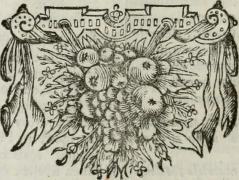 An illustration from Tableaux du temple des muses : tirez du cabinet de feu Mr. Favereau, conseiller du roy en sa Cour des Aydes, & gravez en tailles-douces par les meilleurs maistres de son temps, pour representer les vertus & les vices, sur les plus illustres fables de l'antiquité : avec les descriptions, remarques & annotations, 1676, leaf 215