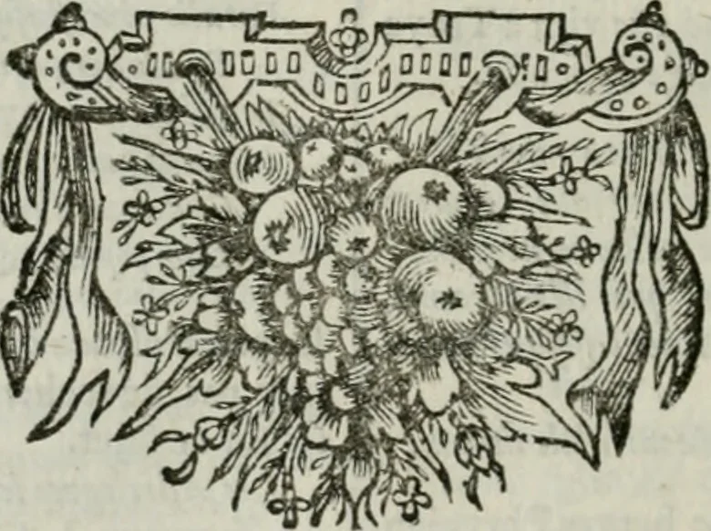 An illustration from Tableaux du temple des muses : tirez du cabinet de feu Mr. Favereau, conseiller du roy en sa Cour des Aydes, & gravez en tailles-douces par les meilleurs maistres de son temps, pour representer les vertus & les vices, sur les plus illustres fables de l'antiquité : avec les descriptions, remarques & annotations, 1676, leaf 285