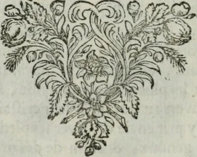 An illustration from Tableaux du temple des muses : tirez du cabinet de feu Mr. Favereau, conseiller du roy en sa Cour des Aydes, & gravez en tailles-douces par les meilleurs maistres de son temps, pour representer les vertus & les vices, sur les plus illustres fables de l'antiquité : avec les descriptions, remarques & annotations, 1676, leaf 319
