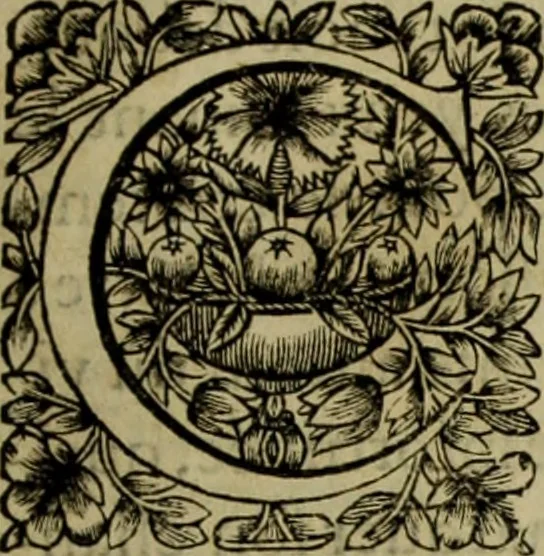 An illustration from Tableaux du temple des muses : tirez du cabinet de feu Mr. Favereau, conseiller du roy en sa cour des Aydes & grauez en tailles-douces par les meilleurs maistr s de son temps pour representer les vertus & les vices sur les plus illustres fables de l'antiquité, 1655, leaf 164