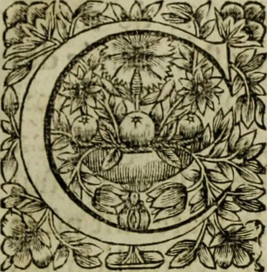 An illustration from Tableaux du temple des muses : tirez du cabinet de feu Mr. Favereau, conseiller du roy en sa cour des Aydes & grauez en tailles-douces par les meilleurs maistr s de son temps pour representer les vertus & les vices sur les plus illustres fables de l'antiquité, 1655, leaf 204