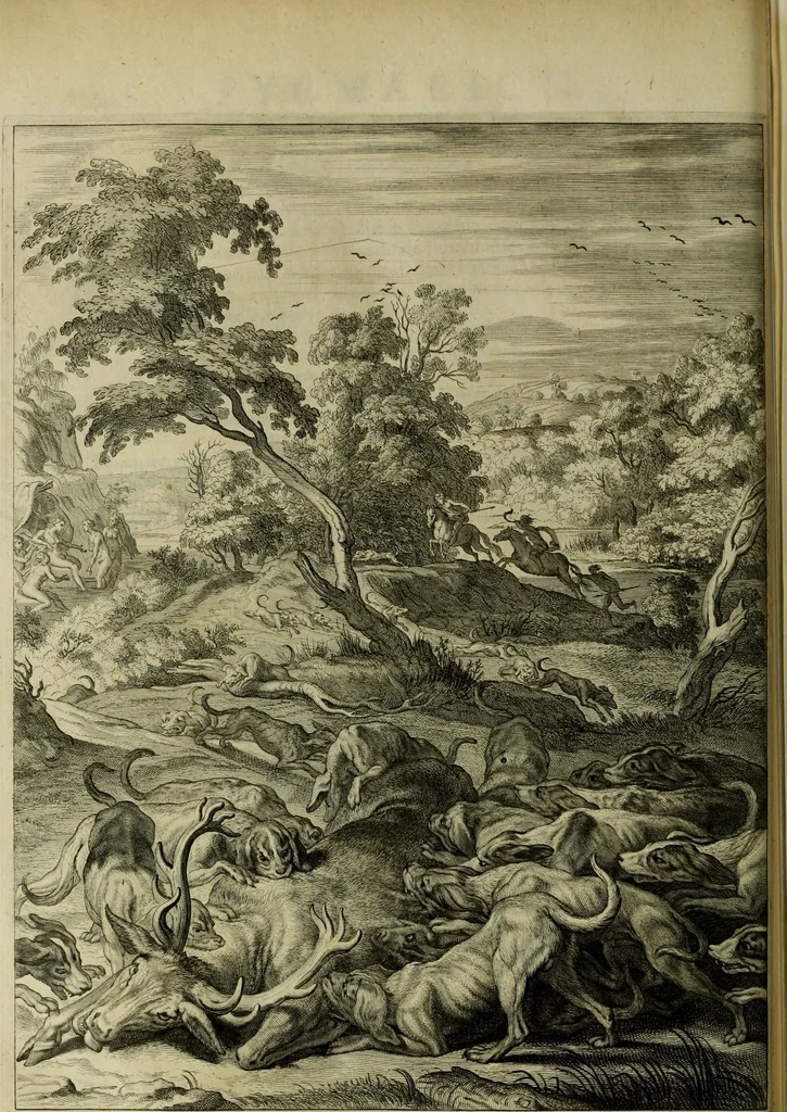 An illustration from Tableaux du temple des muses : tirez du cabinet de feu Mr. Favereau, conseiller du roy en sa cour des Aydes & grauez en tailles-douces par les meilleurs maistr s de son temps pour representer les vertus & les vices sur les plus illustres fables de l'antiquité, 1655, leaf 213