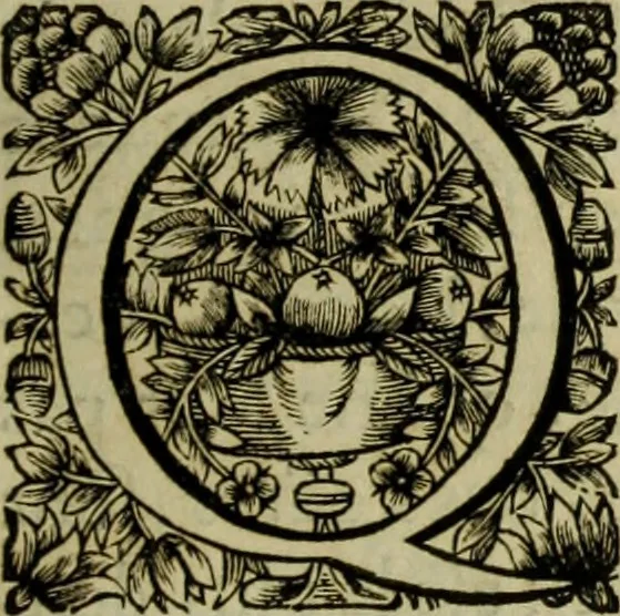 An illustration from Tableaux du temple des muses : tirez du cabinet de feu Mr. Favereau, conseiller du roy en sa cour des Aydes & grauez en tailles-douces par les meilleurs maistr s de son temps pour representer les vertus & les vices sur les plus illustres fables de l'antiquité, 1655, leaf 214