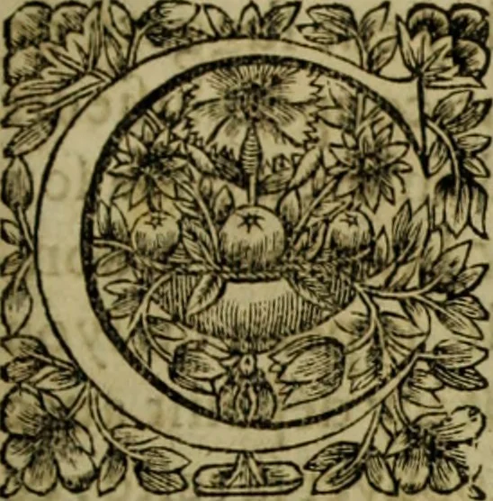 An illustration from Tableaux du temple des muses : tirez du cabinet de feu Mr. Favereau, conseiller du roy en sa cour des Aydes & grauez en tailles-douces par les meilleurs maistr s de son temps pour representer les vertus & les vices sur les plus illustres fables de l'antiquité, 1655, leaf 264