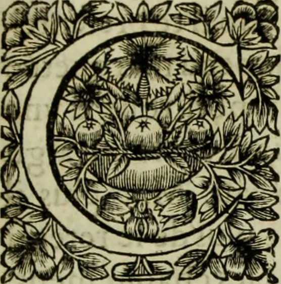 An illustration from Tableaux du temple des muses : tirez du cabinet de feu Mr. Favereau, conseiller du roy en sa cour des Aydes & grauez en tailles-douces par les meilleurs maistr s de son temps pour representer les vertus & les vices sur les plus illustres fables de l'antiquité, 1655, leaf 294