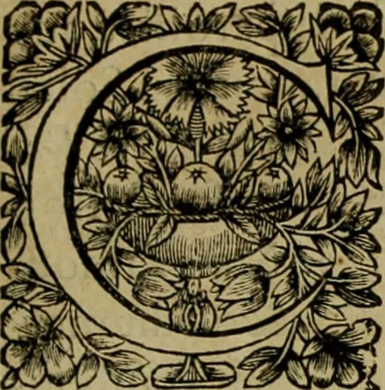 An illustration from Tableaux du temple des muses : tirez du cabinet de feu Mr. Favereau, conseiller du roy en sa cour des Aydes & grauez en tailles-douces par les meilleurs maistr s de son temps pour representer les vertus & les vices sur les plus illustres fables de l'antiquité, 1655, leaf 324