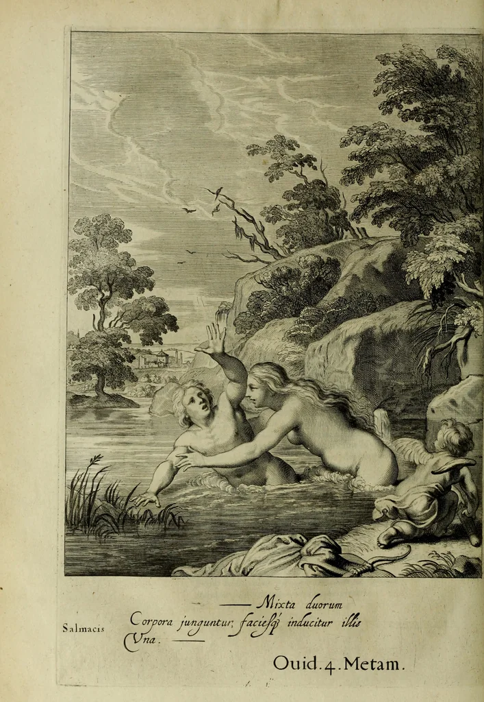 An illustration from Tableaux du temple des muses : tirez du cabinet de feu Mr. Favereau, conseiller du roy en sa cour des Aydes & grauez en tailles-douces par les meilleurs maistr s de son temps pour representer les vertus & les vices sur les plus illustres fables de l'antiquité, 1655, leaf 333