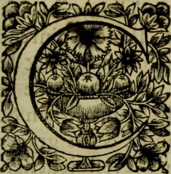 An illustration from Tableaux du temple des muses : tirez du cabinet de feu Mr. Favereau, conseiller du roy en sa cour des Aydes & grauez en tailles-douces par les meilleurs maistr s de son temps pour representer les vertus & les vices sur les plus illustres fables de l'antiquité, 1655, leaf 334