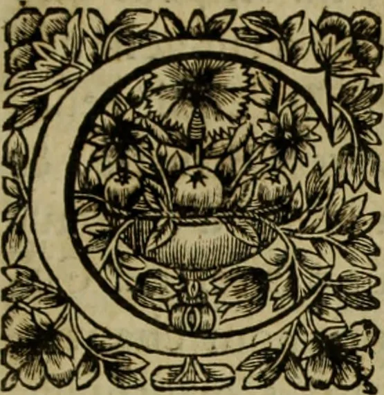 An illustration from Tableaux du temple des muses : tirez du cabinet de feu Mr. Favereau, conseiller du roy en sa cour des Aydes & grauez en tailles-douces par les meilleurs maistr s de son temps pour representer les vertus & les vices sur les plus illustres fables de l'antiquité, 1655, leaf 404