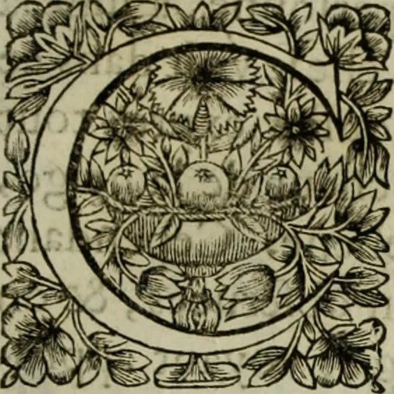 An illustration from Tableaux du temple des muses : tirez du cabinet de feu Mr. Favereau, conseiller du roy en sa cour des Aydes & grauez en tailles-douces par les meilleurs maistr s de son temps pour representer les vertus & les vices sur les plus illustres fables de l'antiquité, 1655, leaf 424