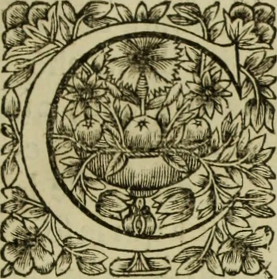 An illustration from Tableaux du temple des muses : tirez du cabinet de feu Mr. Favereau, conseiller du roy en sa cour des Aydes & grauez en tailles-douces par les meilleurs maistr s de son temps pour representer les vertus & les vices sur les plus illustres fables de l'antiquité, 1655, leaf 524