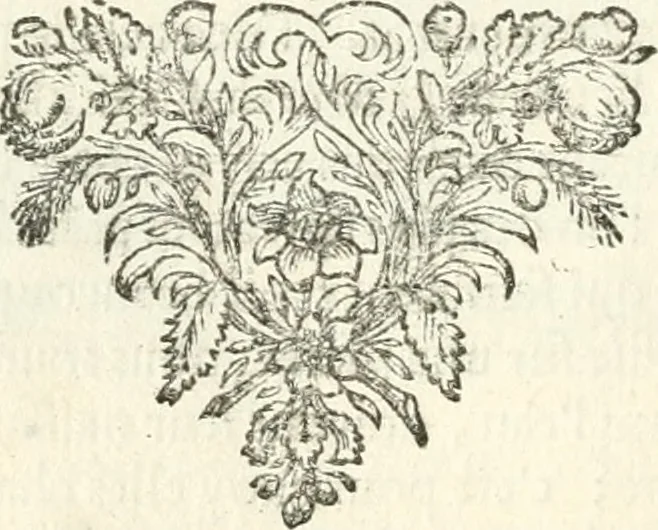 An illustration from Tableaux du temple des muses : tirez du cabinet de feu mr. Favereau...gravez en tailles-douces par les meilleurs maistres de son temps, pour representer les vertus & les vices, sur les plus illustres fables de l'antiquité, 1676, leaf 239