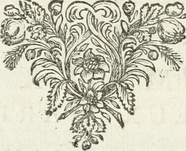 An illustration from Tableaux du temple des muses : tirez du cabinet de feu mr. Favereau...gravez en tailles-douces par les meilleurs maistres de son temps, pour representer les vertus & les vices, sur les plus illustres fables de l'antiquité, 1676, leaf 269