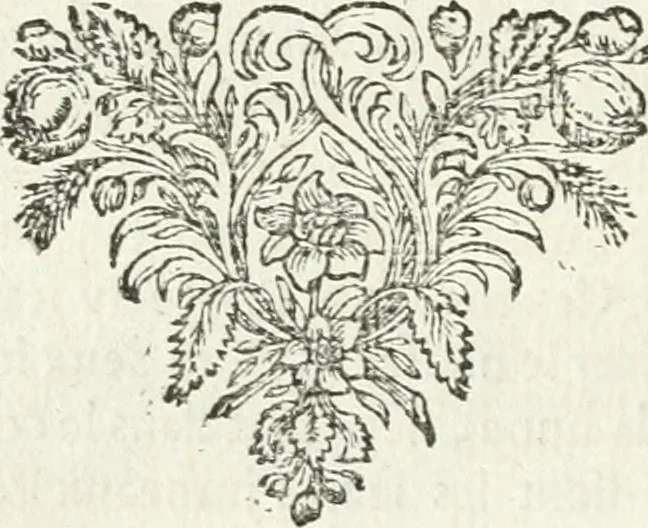 An illustration from Tableaux du temple des muses : tirez du cabinet de feu mr. Favereau...gravez en tailles-douces par les meilleurs maistres de son temps, pour representer les vertus & les vices, sur les plus illustres fables de l'antiquité, 1676, leaf 279