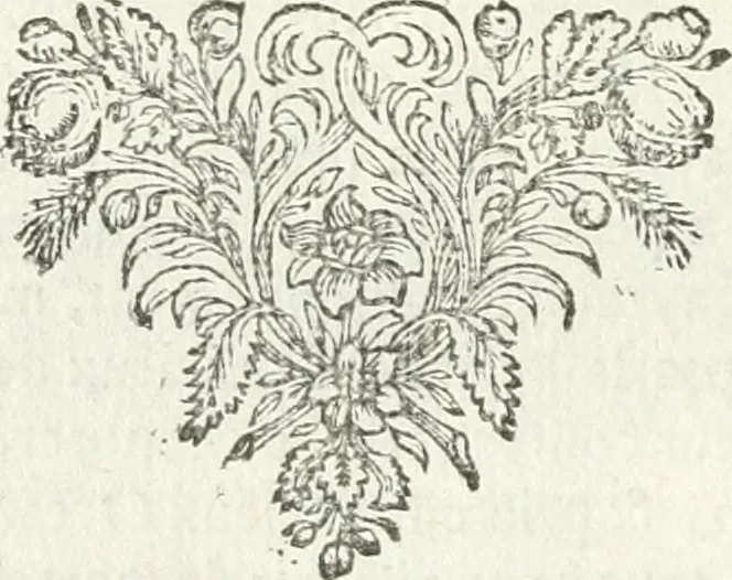 An illustration from Tableaux du temple des muses : tirez du cabinet de feu mr. Favereau...gravez en tailles-douces par les meilleurs maistres de son temps, pour representer les vertus & les vices, sur les plus illustres fables de l'antiquité, 1676, leaf 299