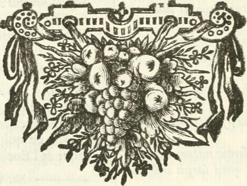 An illustration from Tableaux du temple des muses : tirez du cabinet de feu mr. Favereau...gravez en tailles-douces par les meilleurs maistres de son temps, pour representer les vertus & les vices, sur les plus illustres fables de l'antiquité, 1676, leaf 355