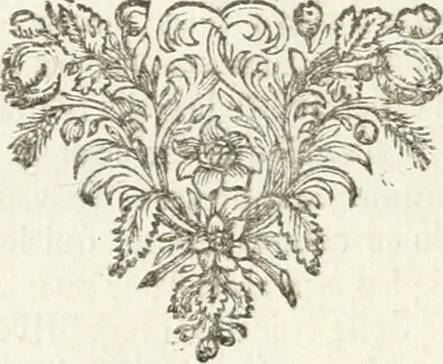 An illustration from Tableaux du temple des muses : tirez du cabinet de feu mr. Favereau...gravez en tailles-douces par les meilleurs maistres de son temps, pour representer les vertus & les vices, sur les plus illustres fables de l'antiquité, 1676, leaf 369