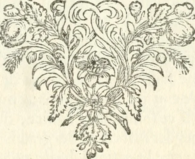 An illustration from Tableaux du temple des muses : tirez du cabinet de feu mr. Favereau...gravez en tailles-douces par les meilleurs maistres de son temps, pour representer les vertus & les vices, sur les plus illustres fables de l'antiquité, 1676, leaf 599