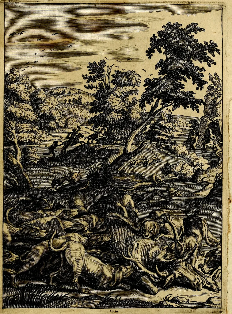 An illustration from Tableaux du temple des muses : tirez du cabinet de feu mr. Favereau...gravez en tailles-douces par les meilleurs maistres de son temps, pour representer les vertus & les vices, sur les plus illustres fables de l'antiquité, 1676, leaf 206