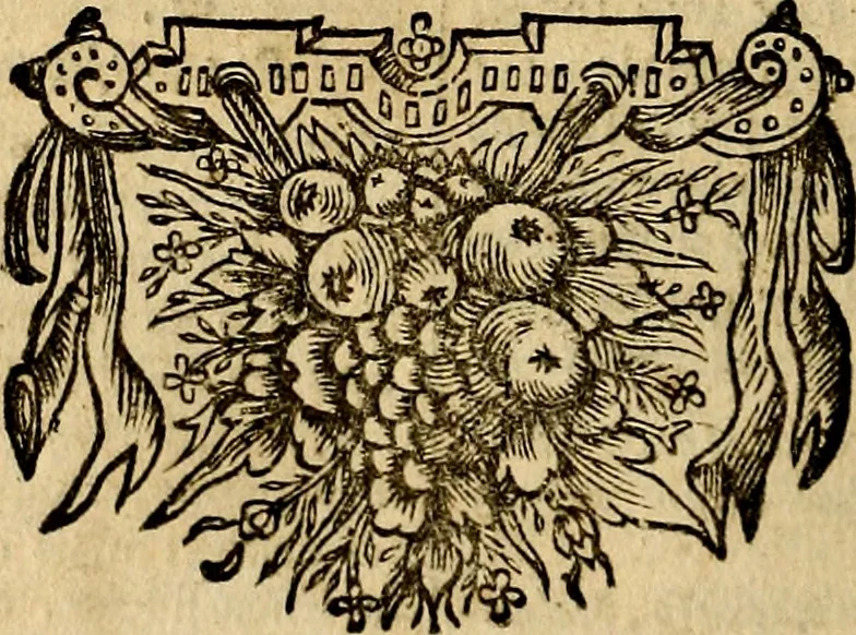An illustration from Tableaux du temple des muses : tirez du cabinet de feu mr. Favereau...gravez en tailles-douces par les meilleurs maistres de son temps, pour representer les vertus & les vices, sur les plus illustres fables de l'antiquité, 1676, leaf 215