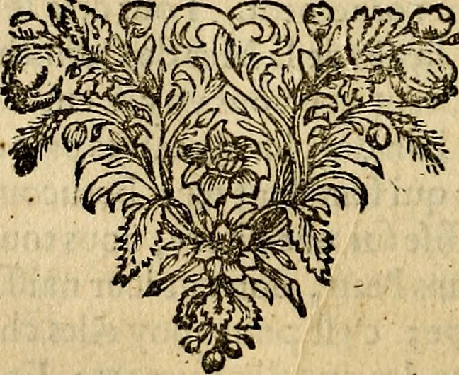 An illustration from Tableaux du temple des muses : tirez du cabinet de feu mr. Favereau...gravez en tailles-douces par les meilleurs maistres de son temps, pour representer les vertus & les vices, sur les plus illustres fables de l'antiquité, 1676, leaf 239