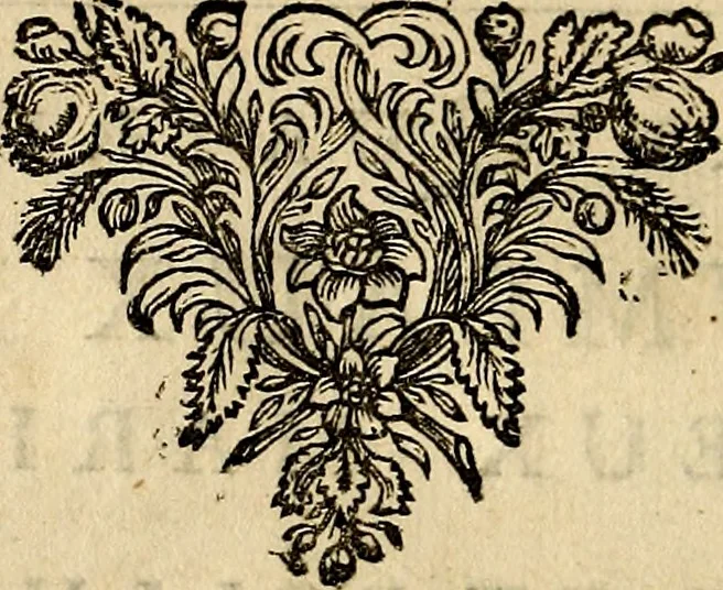 An illustration from Tableaux du temple des muses : tirez du cabinet de feu mr. Favereau...gravez en tailles-douces par les meilleurs maistres de son temps, pour representer les vertus & les vices, sur les plus illustres fables de l'antiquité, 1676, leaf 269