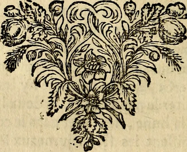 An illustration from Tableaux du temple des muses : tirez du cabinet de feu mr. Favereau...gravez en tailles-douces par les meilleurs maistres de son temps, pour representer les vertus & les vices, sur les plus illustres fables de l'antiquité, 1676, leaf 279