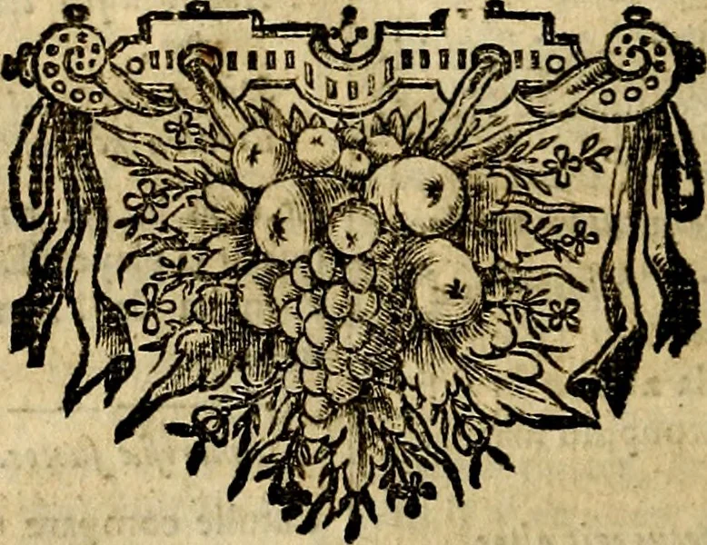 An illustration from Tableaux du temple des muses : tirez du cabinet de feu mr. Favereau...gravez en tailles-douces par les meilleurs maistres de son temps, pour representer les vertus & les vices, sur les plus illustres fables de l'antiquité, 1676, leaf 295