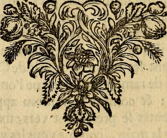 An illustration from Tableaux du temple des muses : tirez du cabinet de feu mr. Favereau...gravez en tailles-douces par les meilleurs maistres de son temps, pour representer les vertus & les vices, sur les plus illustres fables de l'antiquité, 1676, leaf 339
