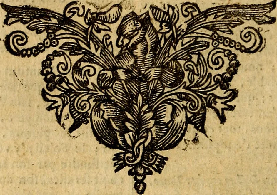 An illustration from Tableaux du temple des muses : tirez du cabinet de feu mr. Favereau...gravez en tailles-douces par les meilleurs maistres de son temps, pour representer les vertus & les vices, sur les plus illustres fables de l'antiquité, 1676, leaf 365