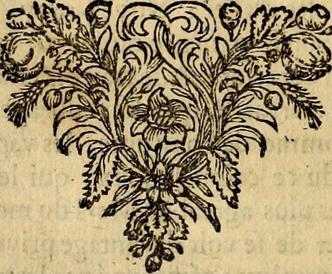 An illustration from Tableaux du temple des muses : tirez du cabinet de feu mr. Favereau...gravez en tailles-douces par les meilleurs maistres de son temps, pour representer les vertus & les vices, sur les plus illustres fables de l'antiquité, 1676, leaf 369