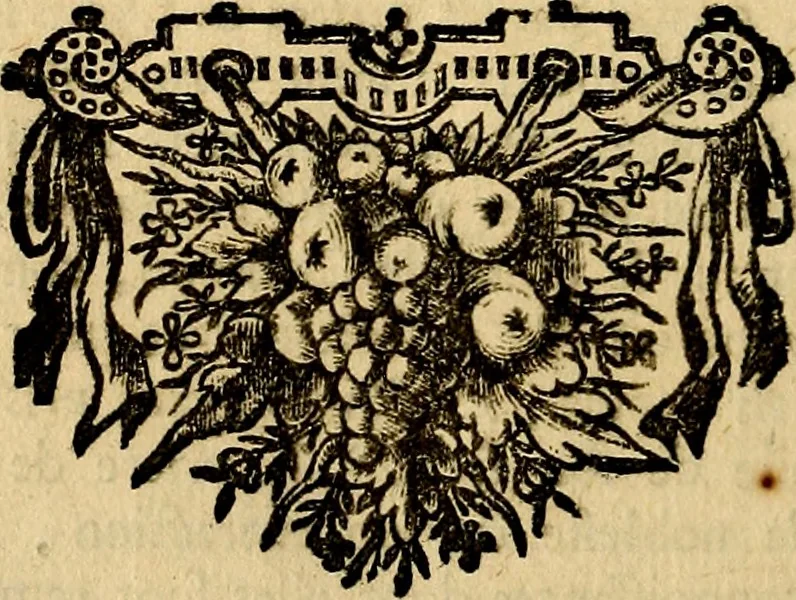 An illustration from Tableaux du temple des muses : tirez du cabinet de feu mr. Favereau...gravez en tailles-douces par les meilleurs maistres de son temps, pour representer les vertus & les vices, sur les plus illustres fables de l'antiquité, 1676, leaf 449