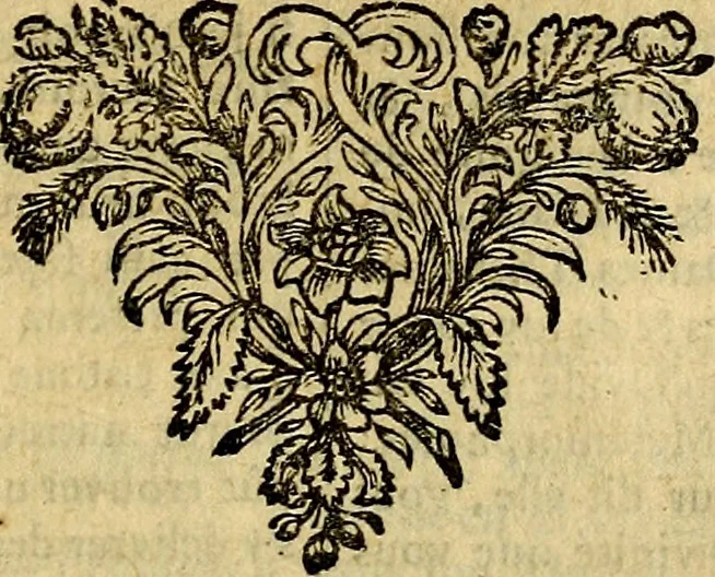 An illustration from Tableaux du temple des muses : tirez du cabinet de feu mr. Favereau...gravez en tailles-douces par les meilleurs maistres de son temps, pour representer les vertus & les vices, sur les plus illustres fables de l'antiquité, 1676, leaf 460