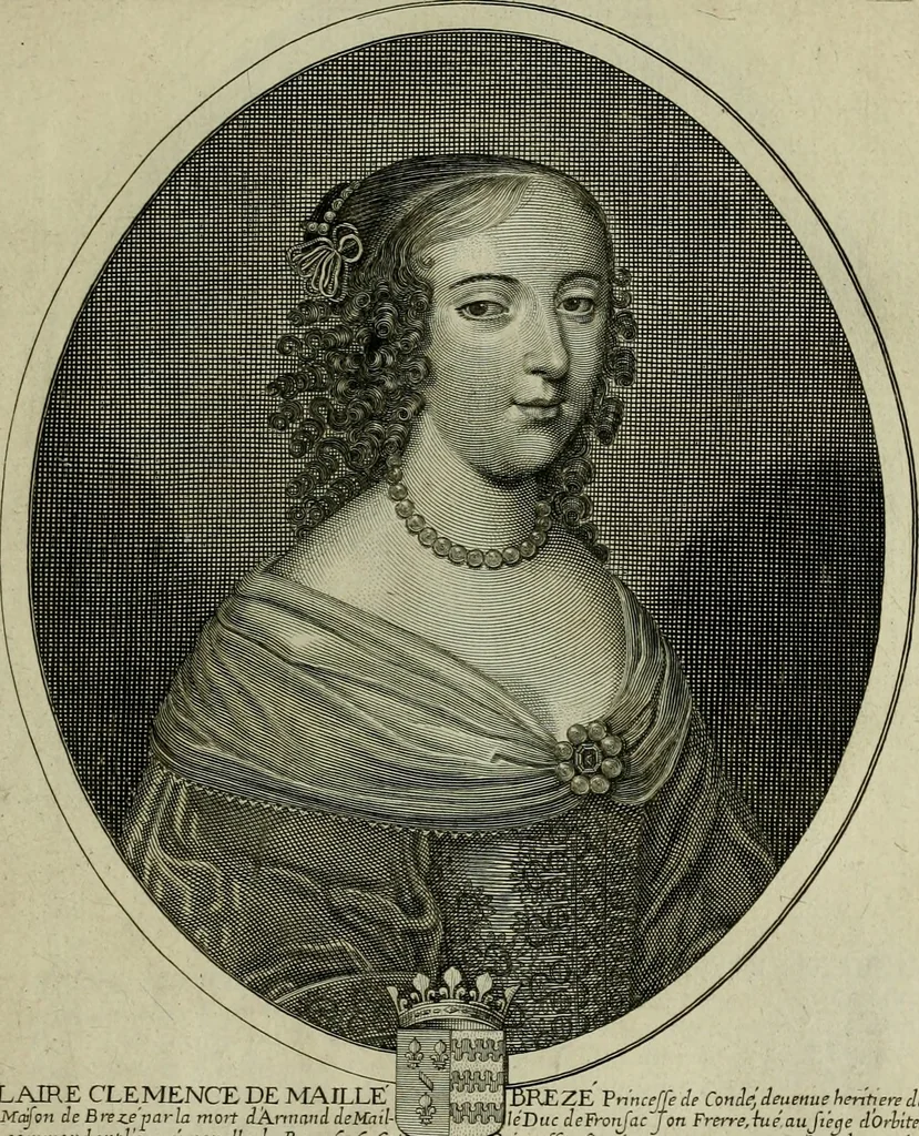 An illustration from Tableaux historiques, ou sont grauez les illustres francois et estrangers de l'un et de l'autre sexe : remarquables par leur naissance et leur fortune, doctrine, pieté, charges et emplois, auec les éloges sommaires contenans leurs noms et leurs qualitez, leurs peres et leurs meres, leurs aages, leurs mariages, les plus belles actions de leur vie et leurs armes blasonnées, 1662, leaf 36