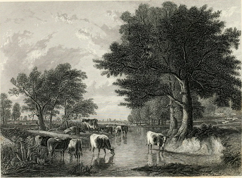 An illustration from The table book of art; a history of art in all countries and ages, 1880, leaf 248