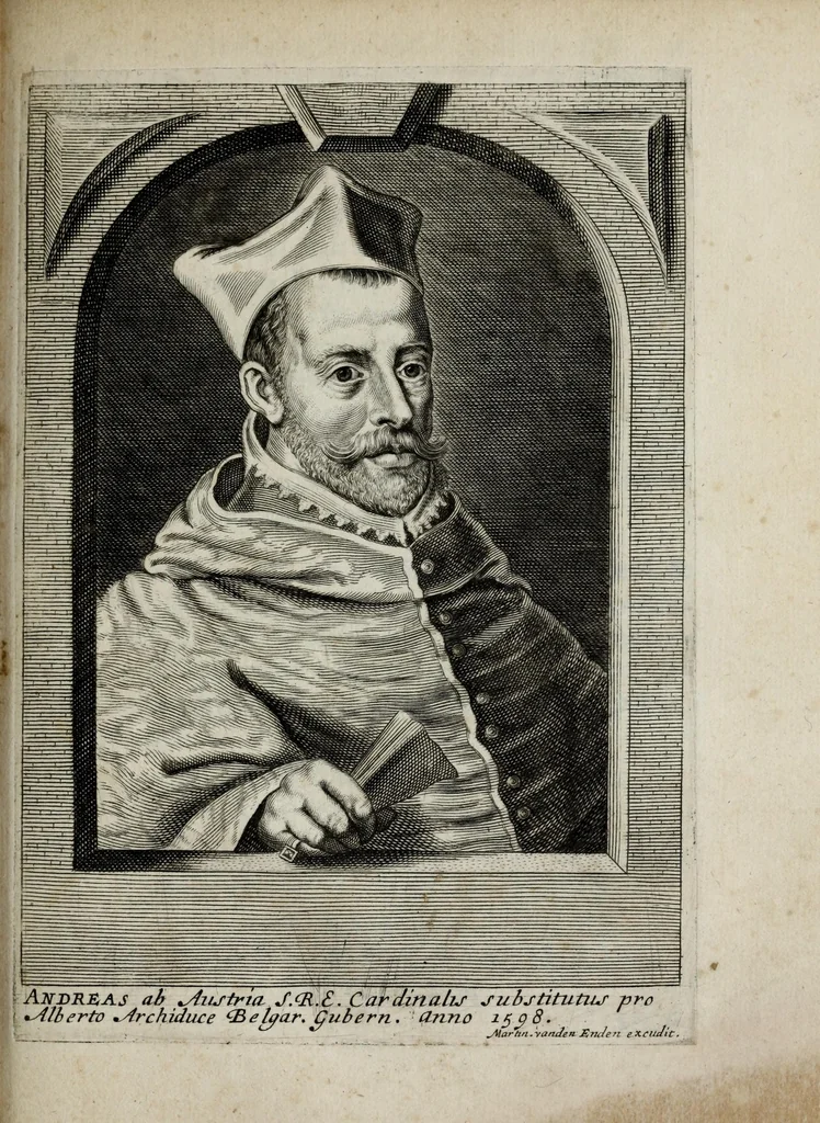 An illustration from Tabula chronologica, sive, Ducum Lotharingiae, Brabantiae, Limburgi &c. et gubernatorum ac archistrategorum eorundem ducatuum & ditionum continua series .., 1669, leaf 137