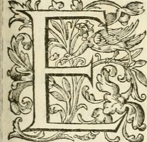 An illustration from Tabulae historicae Henrici IV : cognomento magni, Galliarum et Nauarrae regis, 1615, leaf 8
